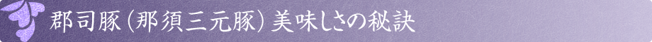 郡司豚(那須三元豚)美味しさの秘訣